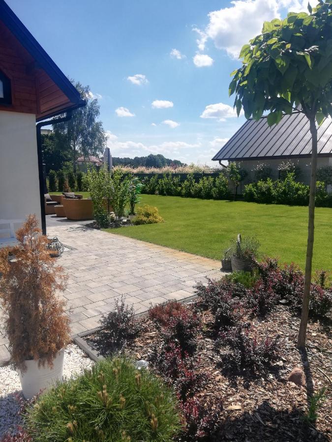 Bielik Nad Jeziorem Blisko Lubniewice